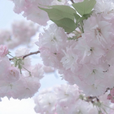 兽设表情绘制技巧兽圈社群